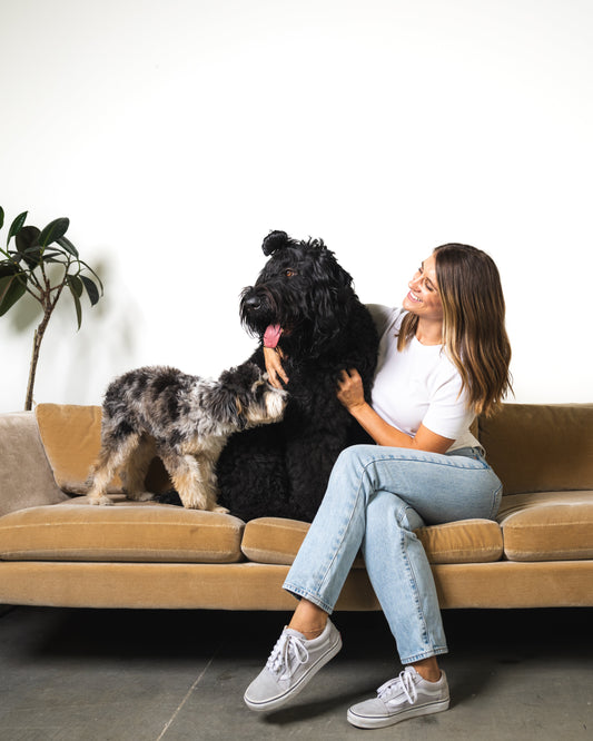 How to Build a Safe, Non-Toxic Grooming Routine for Your Dog (Daily, Weekly, Monthly)