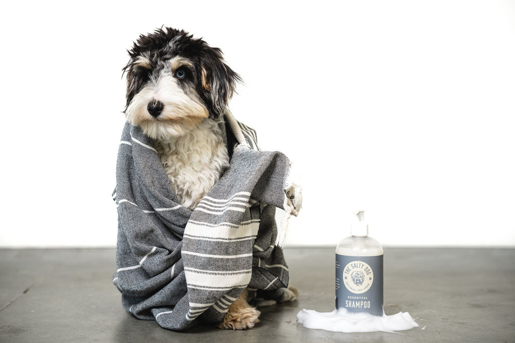 Choosing the Best Dog Shampoo for Sensitive Skin